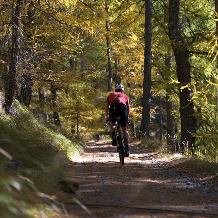Gravel Autunno Pedemontana