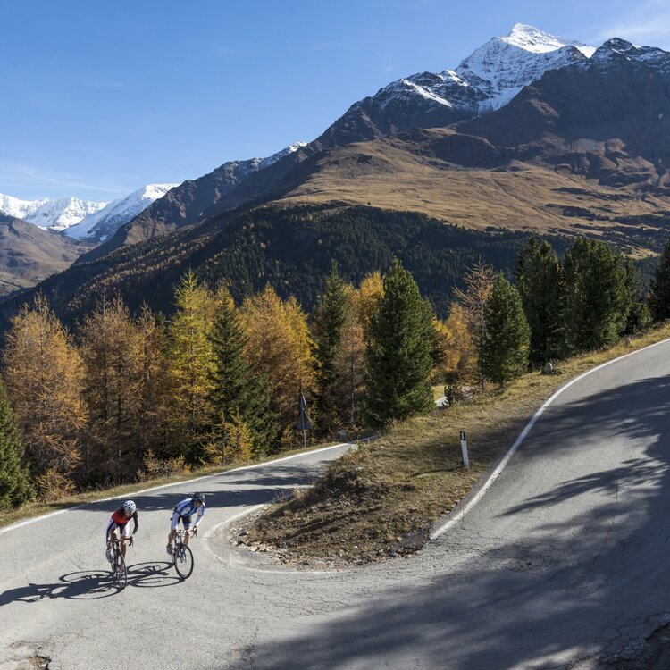 Gavia By Markus Greber 2847