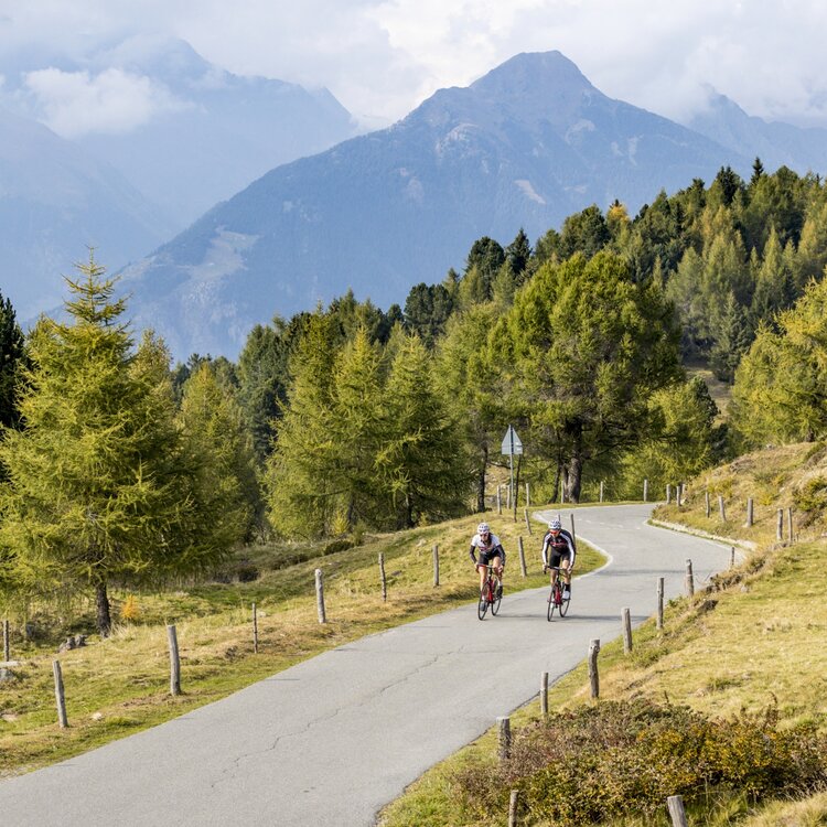 Passo Mortirolo Ciclismo By Markus Greber (24)