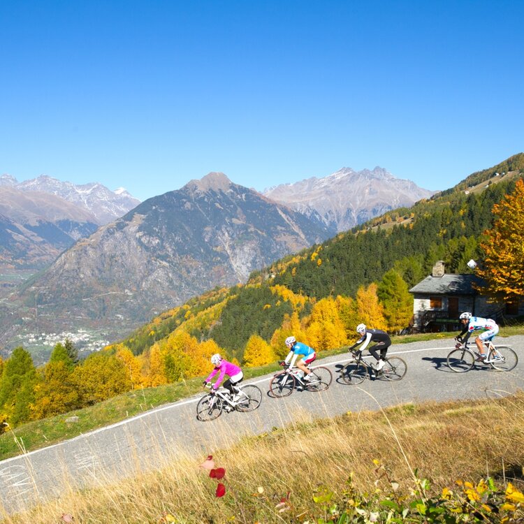 Stelvio Gavia Mortirolo   Foto 2014 (150)