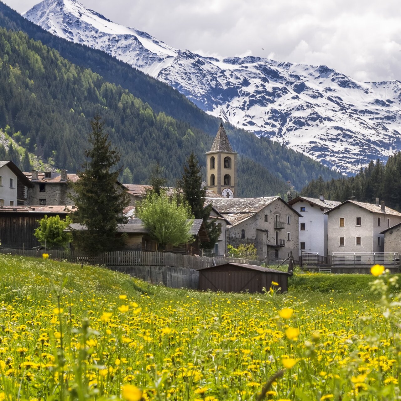 Le 5 Cose Da Fare In Valfurva
