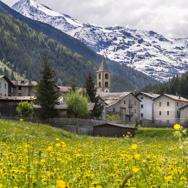 Valfurva Paesaggi Estate Ph. Fausto Compagnoni (5)