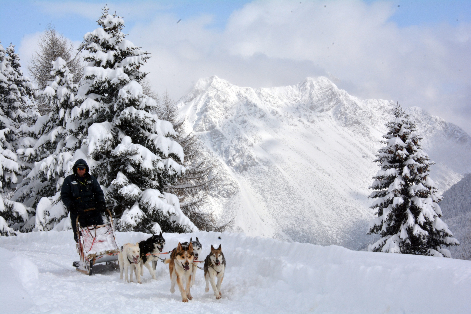 Valdidentro Husky Village Ph. Husky Village (2)