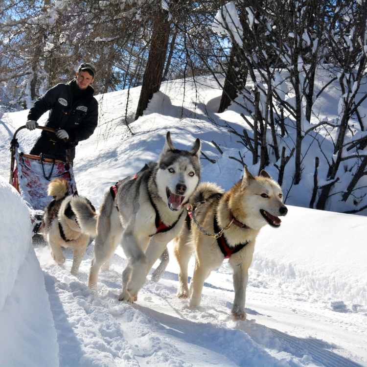 Valdidentro Husky Village Ph. Husky Village (3)