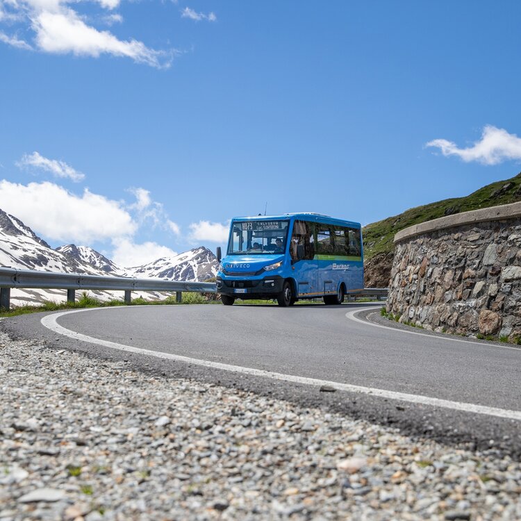Bus Gavia Foto Roby Trab 1289