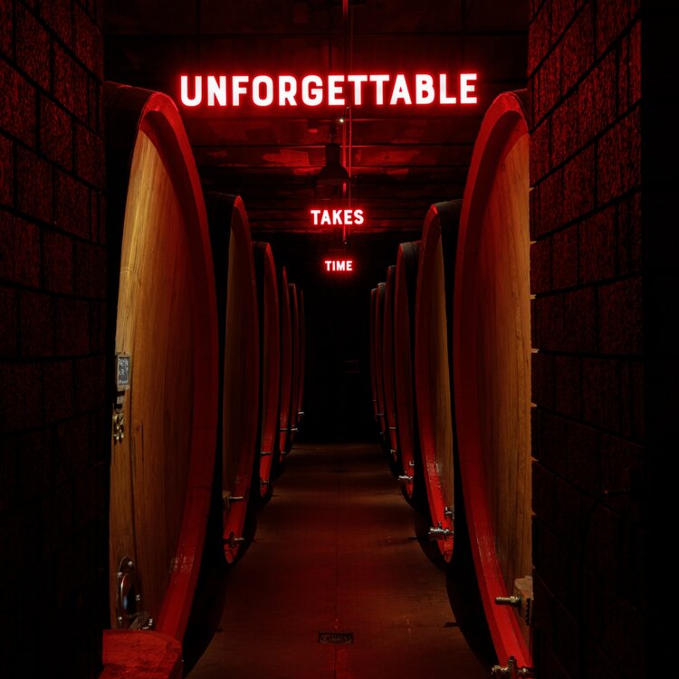 Test Visita alle Cantine Braulio