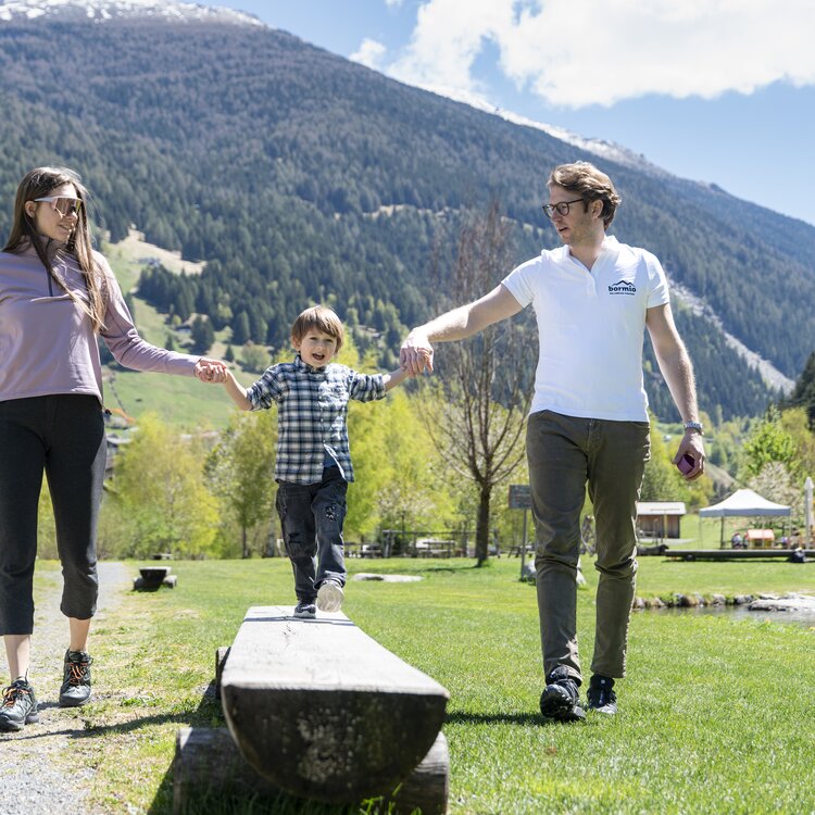 Famiglia Parco Giochi Genolecia Gm 26 08276