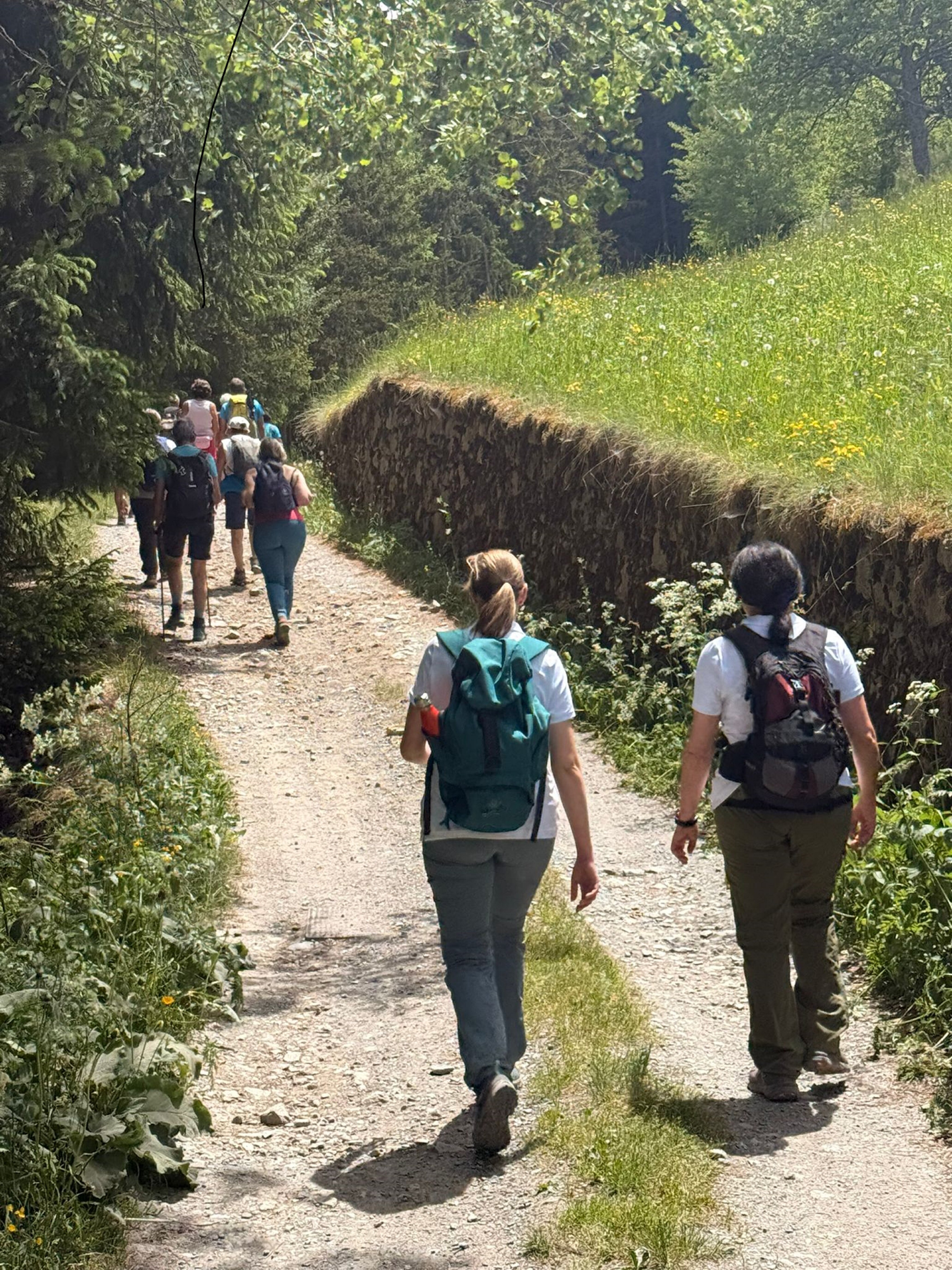 Camminomarianodellealpi Camminatori