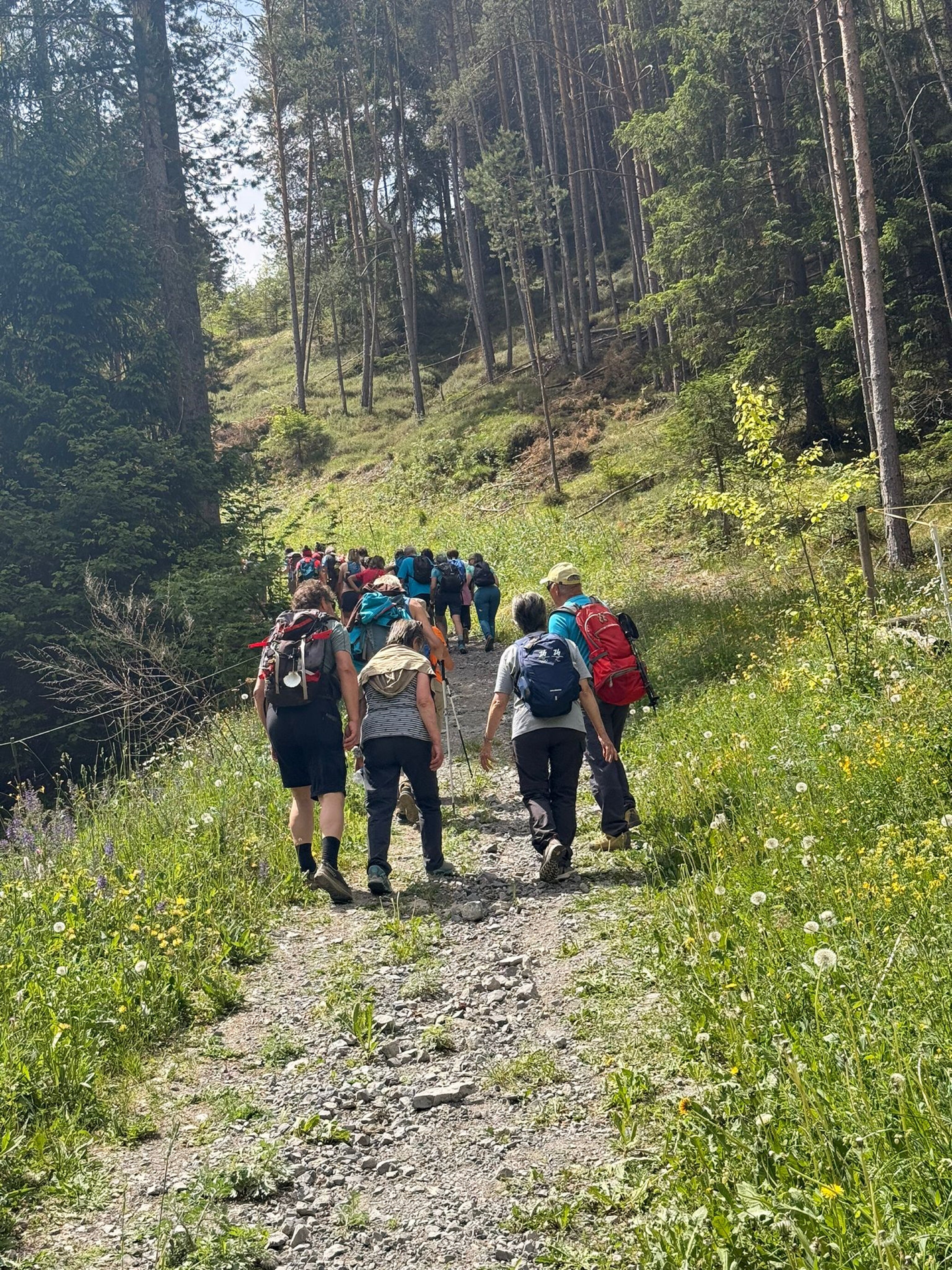 Camminomarianodellealpi Camminatori 1