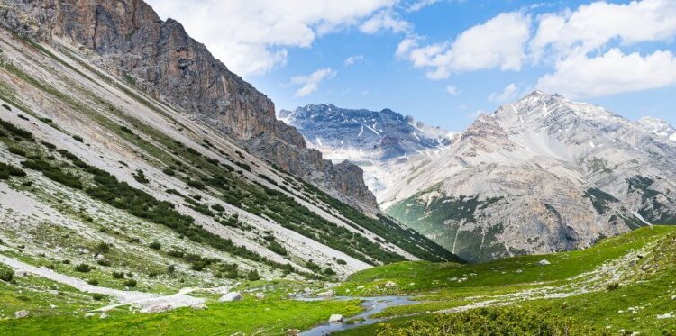 Alla Scoperta Della Biodiversità Nella Val Di Fraele E Valle Alpisella