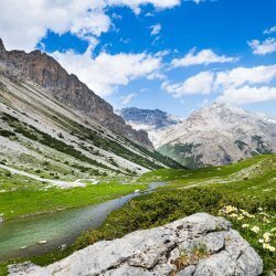 Alla Scoperta Della Biodiversità Nella Val Di Fraele E Valle Alpisella
