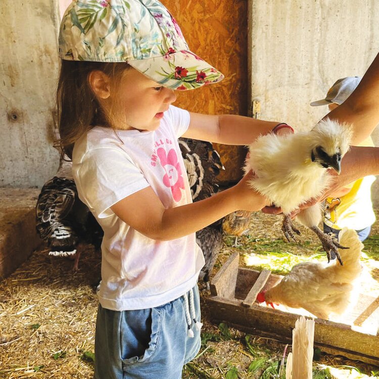 Locandina-Baby-in-fattoria
