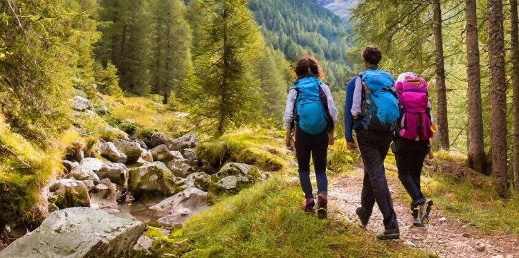 Camminata Con Colazione Tipica In Quota Trailrun Alta Valtellina Ev 3955583