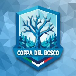 Coppa del Bosco - torneo di calcio a6