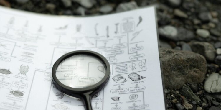 Detective vegetali- Laboratorio per bambini