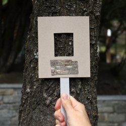 Detective vegetali- Laboratorio per bambini