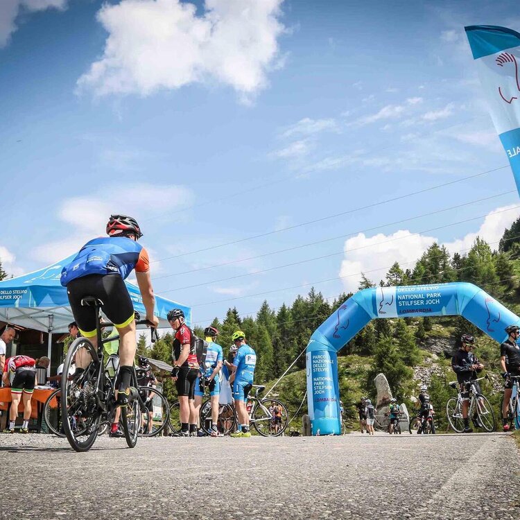 Enjoy Stelvio National Park - Mortirolo