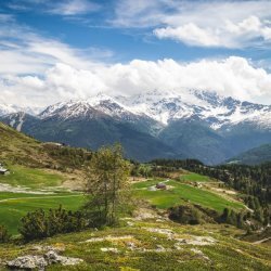 Escursione guidata in Val Vezzola con visita all'apiario in quota