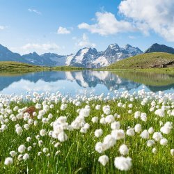 Escursione guidata: Lago di Forbesana