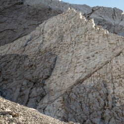 Escursione guidata: Trekking sulle tracce dei dinosauri