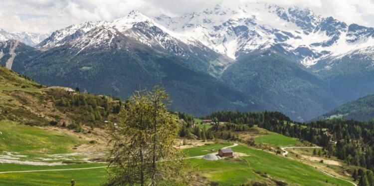 Escursione guidata: Val Vezzola con visita all'apiario in quota