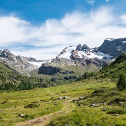 Escursione guidata: Val Viola