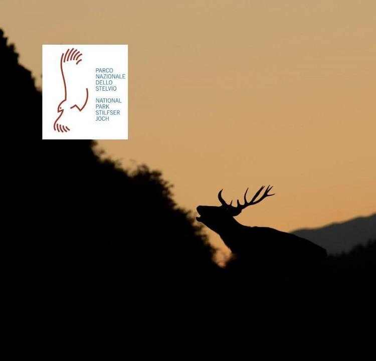 Cervo-Rezzalo
