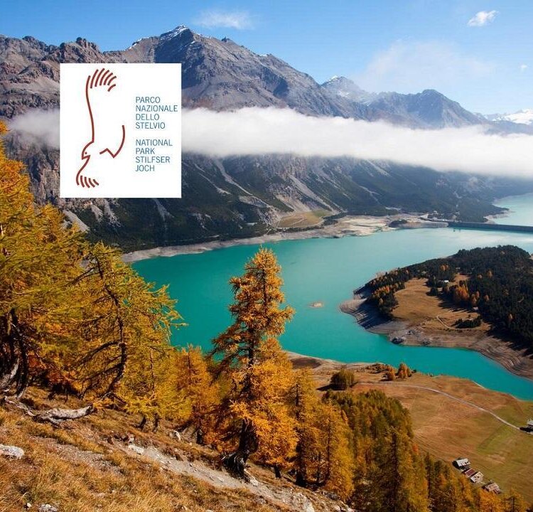 Larici-Alpisella