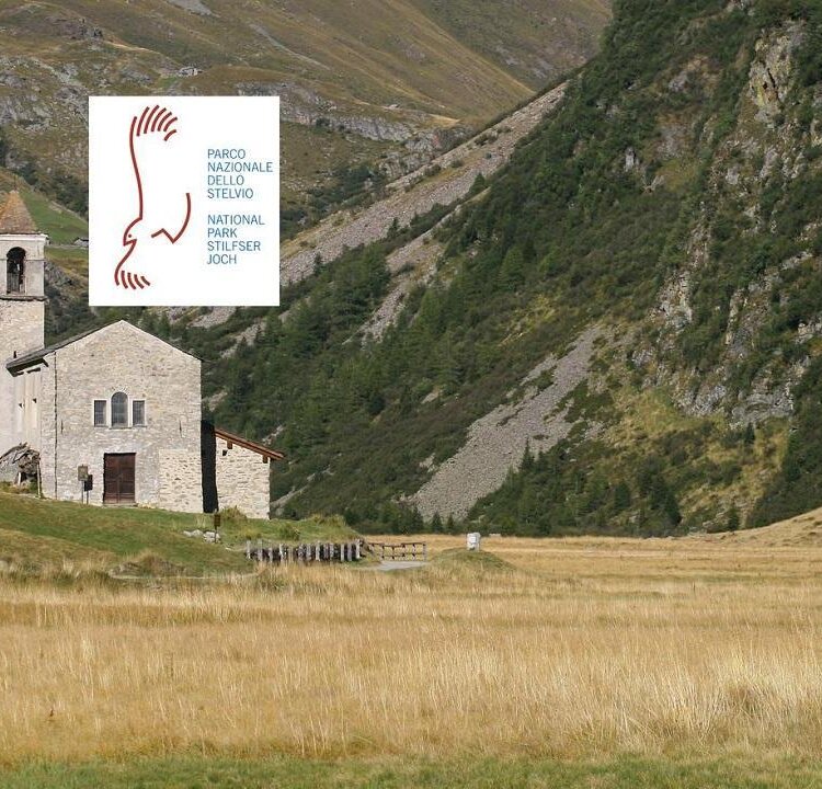 Val_di_Rezzalo-25