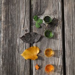 Esplorare in tutti i sensi - Laboratorio per bambini