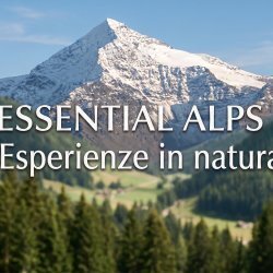 ESSENTIAL ALPS 01-02 AGOSTO 2026 - Esperienze in natura