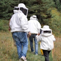 Fattoria didattica: visita all'apiario