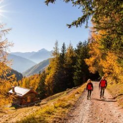 Foliage Val Viola | Escursioni e trekking con le Guide Alpine Bormio