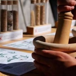Fuori programma per bambini - Invenzioni botaniche