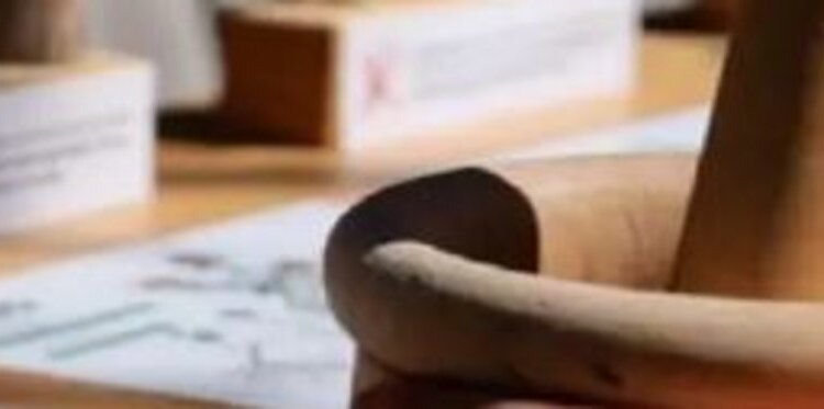 Fuori programma per bambini - Invenzioni botaniche