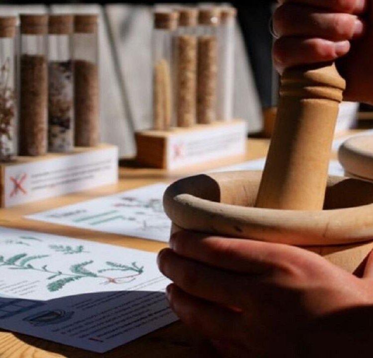 Fuori programma per bambini - Sottosopra: prospettive vegetali