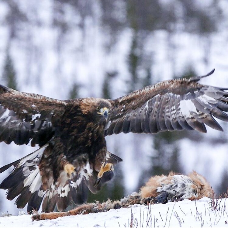 Parco Nazionale dello Stelvio
