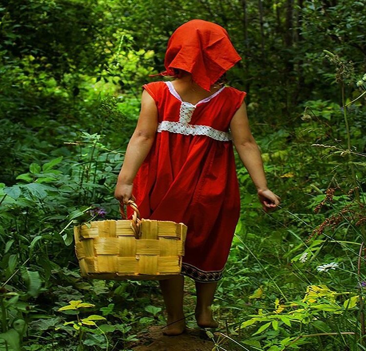 Young mushroom hunters grow up