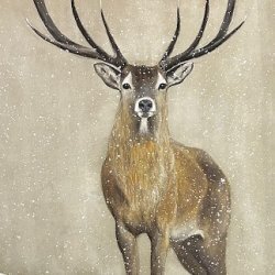 Il Battito della Montagna - Esposizione d'arte