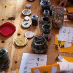 InCanto di colori - Laboratorio per i più piccoli