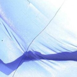 L'Arte della Cura