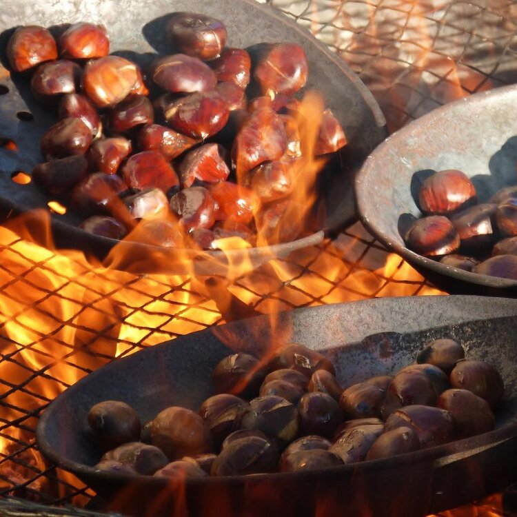 chestnuts