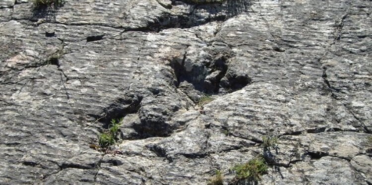 La valle dei dinosauri