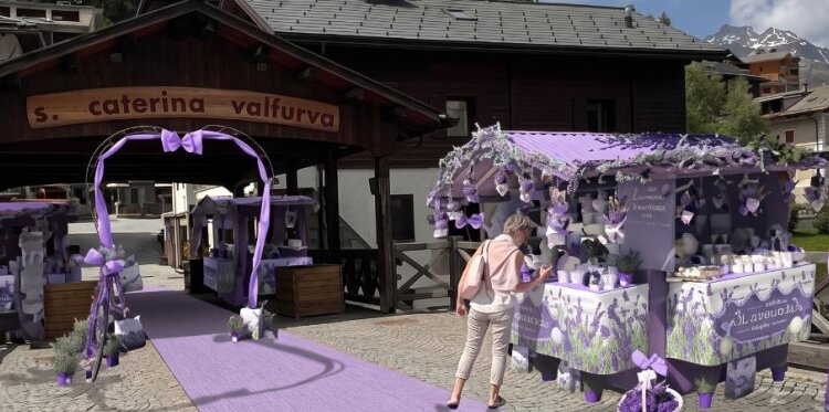 Lavanda del lago