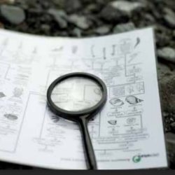 Le tracce raccontano - Laboratorio per bambini