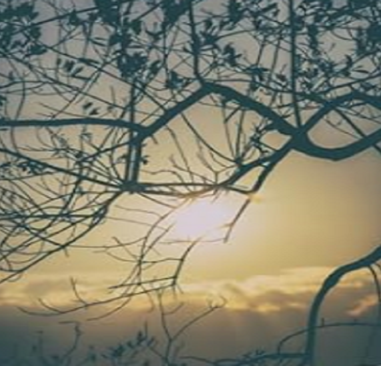 Leggi Bormio: "Respira, riposa, sorridi"