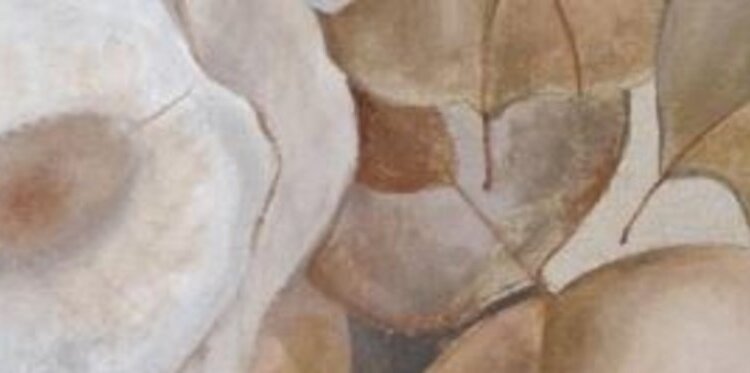 Mostra: Arte e semi di meraviglia