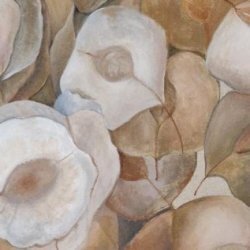 Mostra: Arte e semi di meraviglia