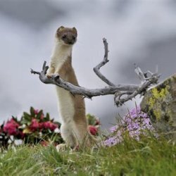 Natura da vivere 2026