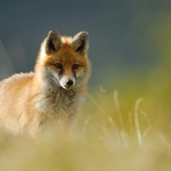 Natura da vivere 2026